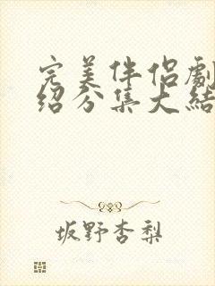 完美伴侣剧情介绍分集大结局