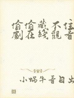 偷偷藏不住电视剧在线观看免费15集