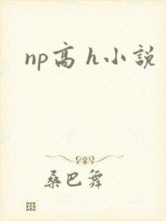 np高 h小说封面