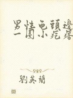 男性龟头边缘有一圈小疙瘩