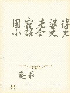 团宠老婆得宠着小说全文免费阅读