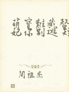 萌宝难藏替嫁王妃你别逃 短剧