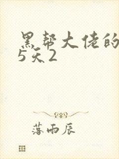 黑帮大佬的365天2