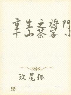 重生之将门毒后千山茶客 小说