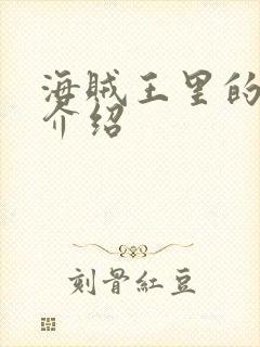 海贼王里的人物介绍