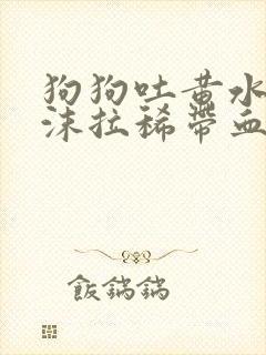 狗狗吐黄水带泡沫拉稀带血