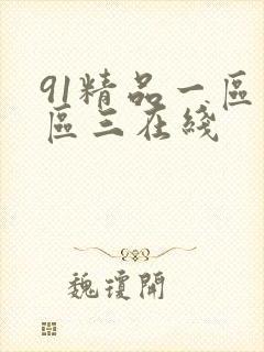 91精品一区二区三在线