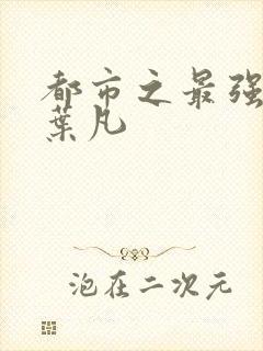 都市之最强仙尊叶凡