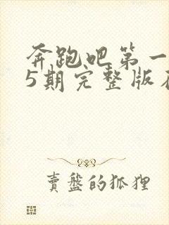 奔跑吧第一季15期完整版在线观看