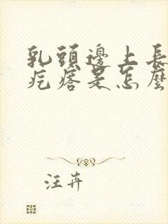 乳头边上长了小疙瘩是怎么回事