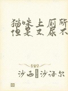 猫咪上厕所频繁但是又尿不出来封面