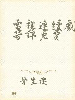 电视连续剧韶华若锦免费