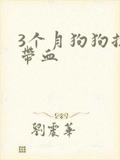 3个月狗狗拉稀带血