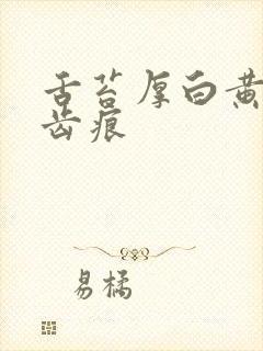 舌苔厚白黄腻有齿痕