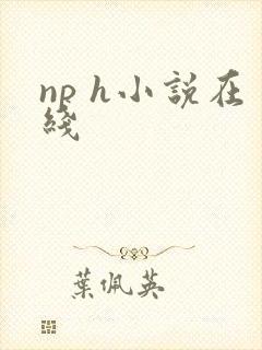 np h小说在线