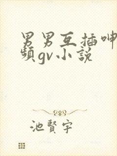 男男互插呻吟视频gv小说