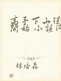 高手下山从退婚开始 小说网