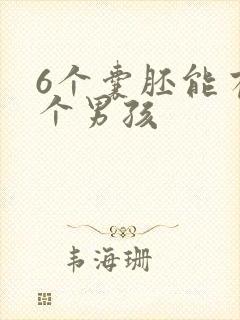 6个囊胚能有几个男孩