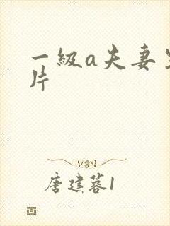 一级a夫妻生活片