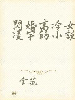 闪婚高冷女总裁凌宇的小说