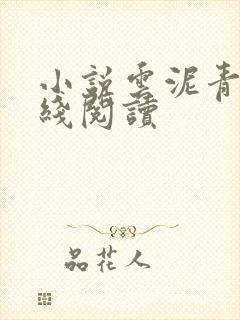 小说云泥青灯在线阅读