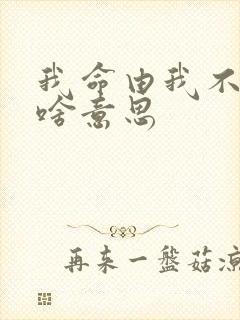 我命由我不由天啥意思