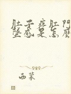 肚子疼肛门有下坠感是怎么回事