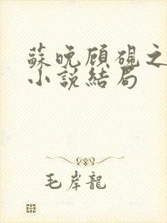 苏晚顾砚之原著小说结局封面