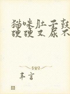 猫咪肚子鼓鼓的硬硬又尿不出怎么回事