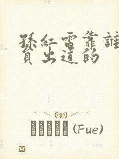 孙红雷靠谁女演员出道的