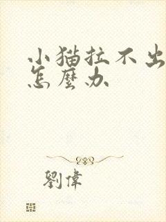 小猫拉不出来尿怎么办