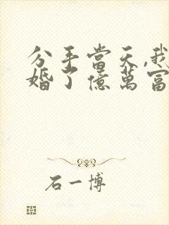 分手当天,我闪婚了亿万富豪全集小说