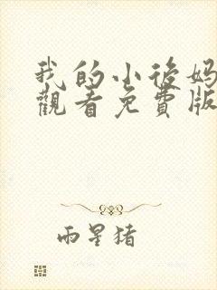 我的小后妈在线观看免费版电视剧封面