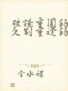 破镜重圆的小说久别重逢的小说