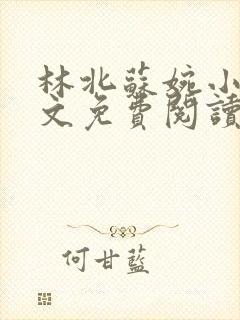 林北苏婉小说全文免费阅读最新章