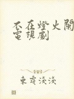 不在灯火阑珊处电视剧