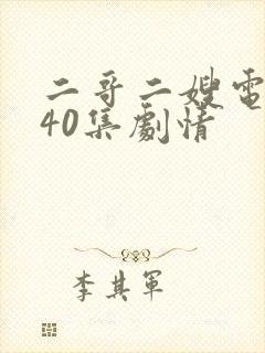 二哥二嫂电视剧40集剧情