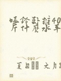 哑铃卧推40公斤什么水平