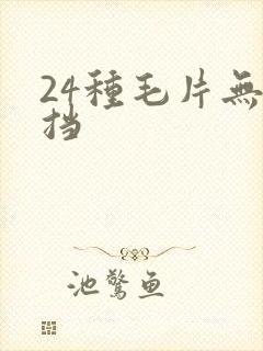 24种毛片无遮挡