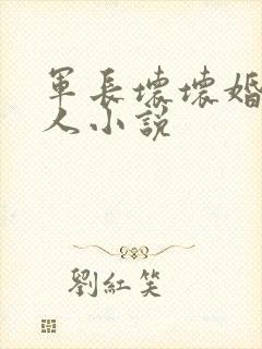 军长坏坏婚宠撩人小说