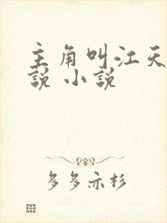 主角叫江天的小说 小说封面