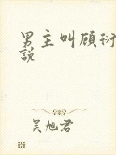 男主叫顾衍的小说