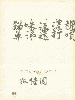 猫咪流浓稠的黄鼻涕还打喷嚏