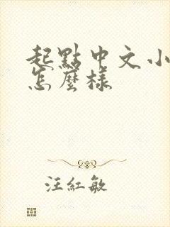 起点中文小说网怎么样封面