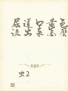 尿道口黄色液体流出来怎么回事