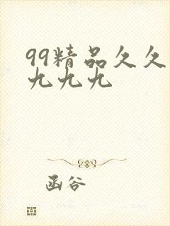 99精品久久久九九九