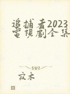 追捕者2023电视剧全集免费观看