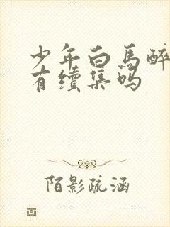 少年白马醉春风有续集吗