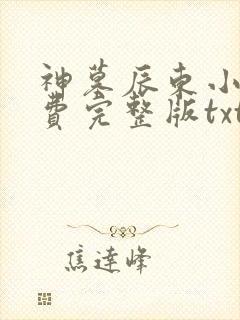 神墓辰东小说免费完整版txt