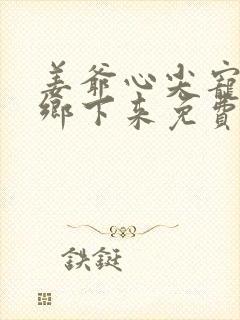 姜爷心尖宠她从乡下来免费